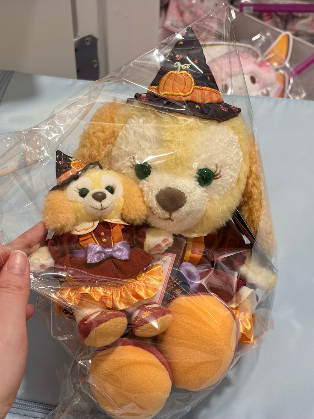 HK Disneyland CookieAnn Halloween Puppy Plush & Keychain set